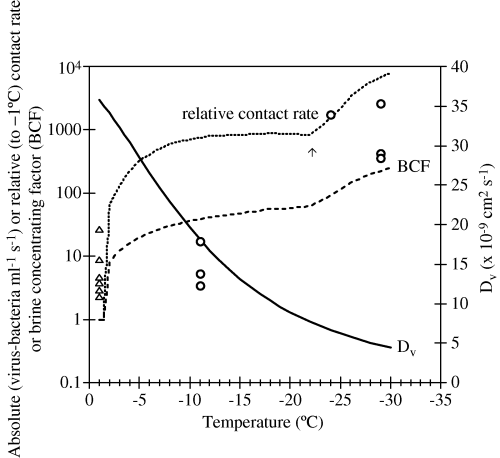 sea ice diffusivity, wells and deming 2006