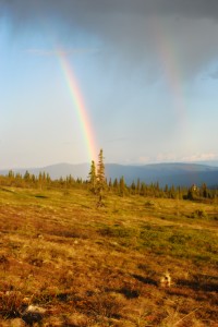 Double Rainbow Porcupine!